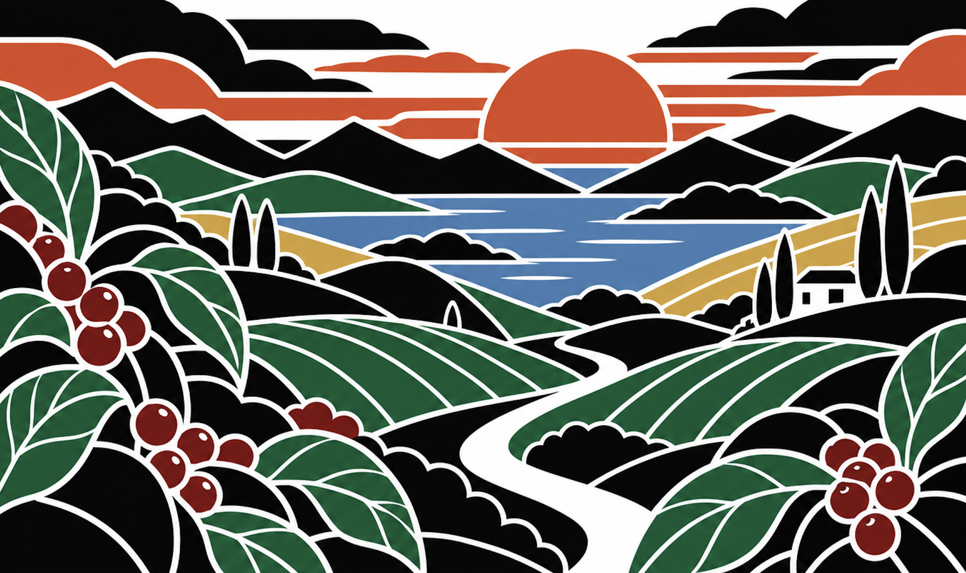 coffee farm at sunrise